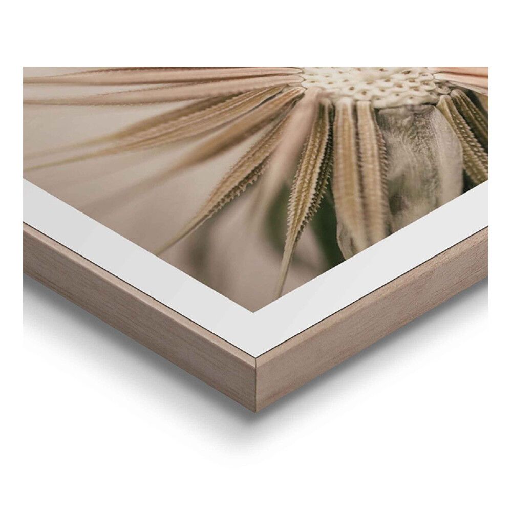 Sisustuspilt Reinders Dandelion Heart 40 x 50 cm