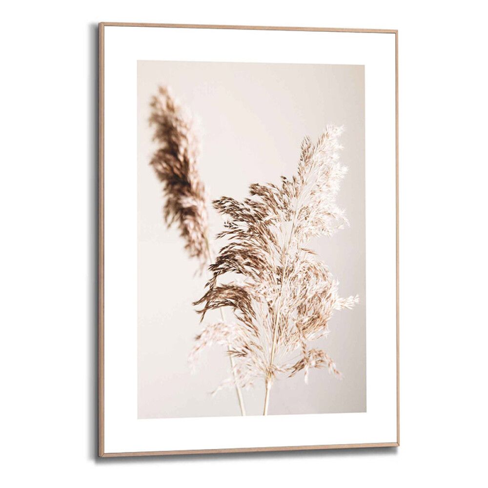 Sisustuspilt Reinders Shadow Grass 50 x 70 cm