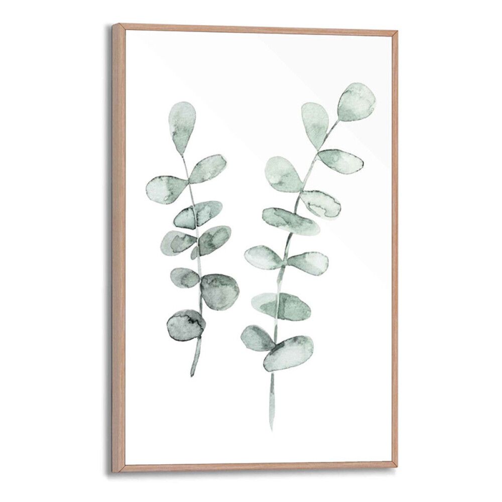 Sisustuspilt Reinders Eucalyptus 20 x 30 cm