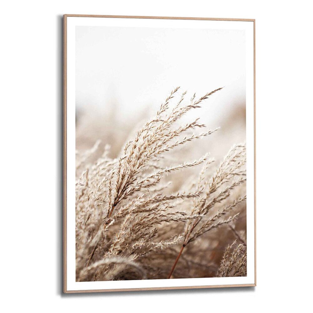 Sisustuspilt Reinders Field Grass 50 x 70 cm