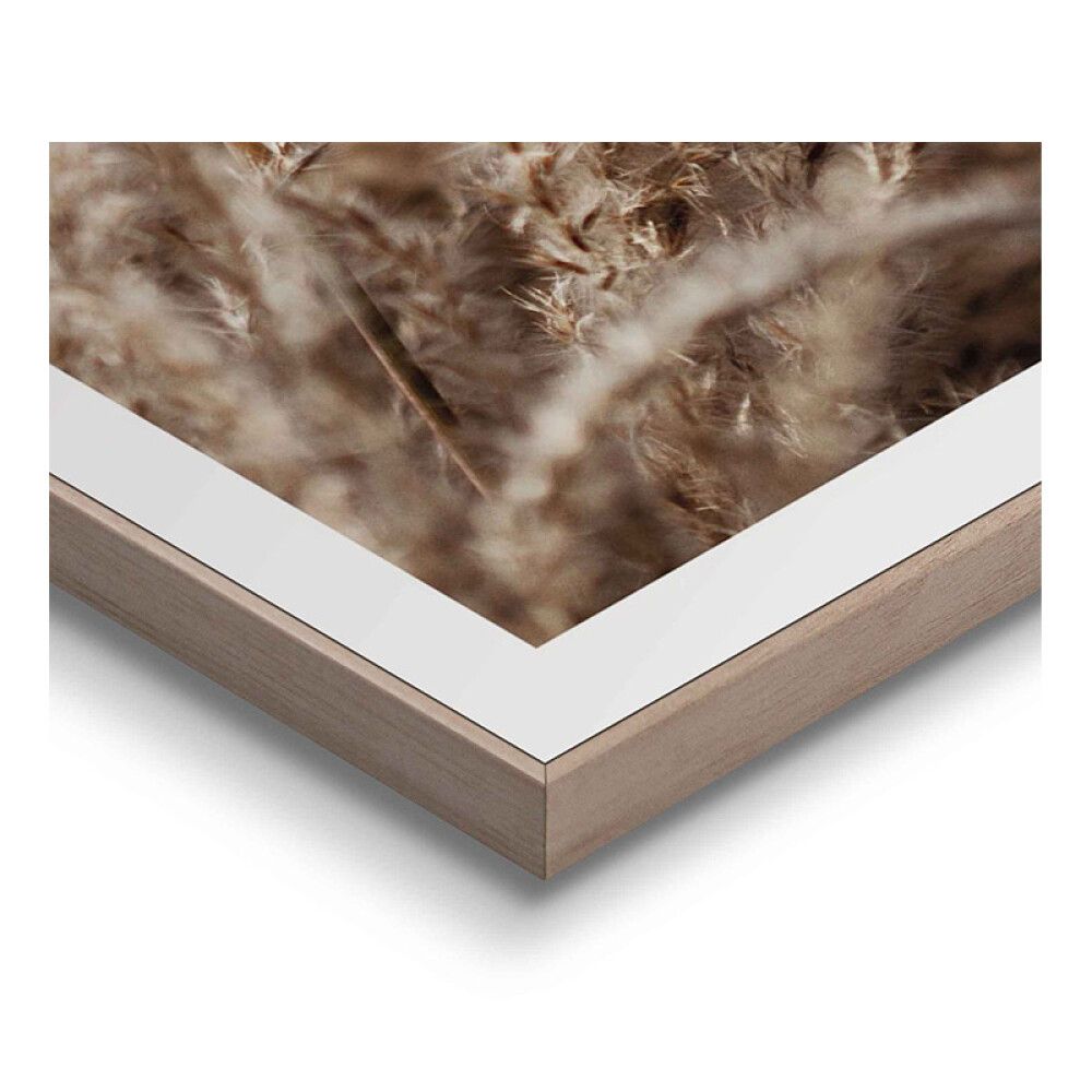 Sisustuspilt Reinders Field Grass 50 x 70 cm