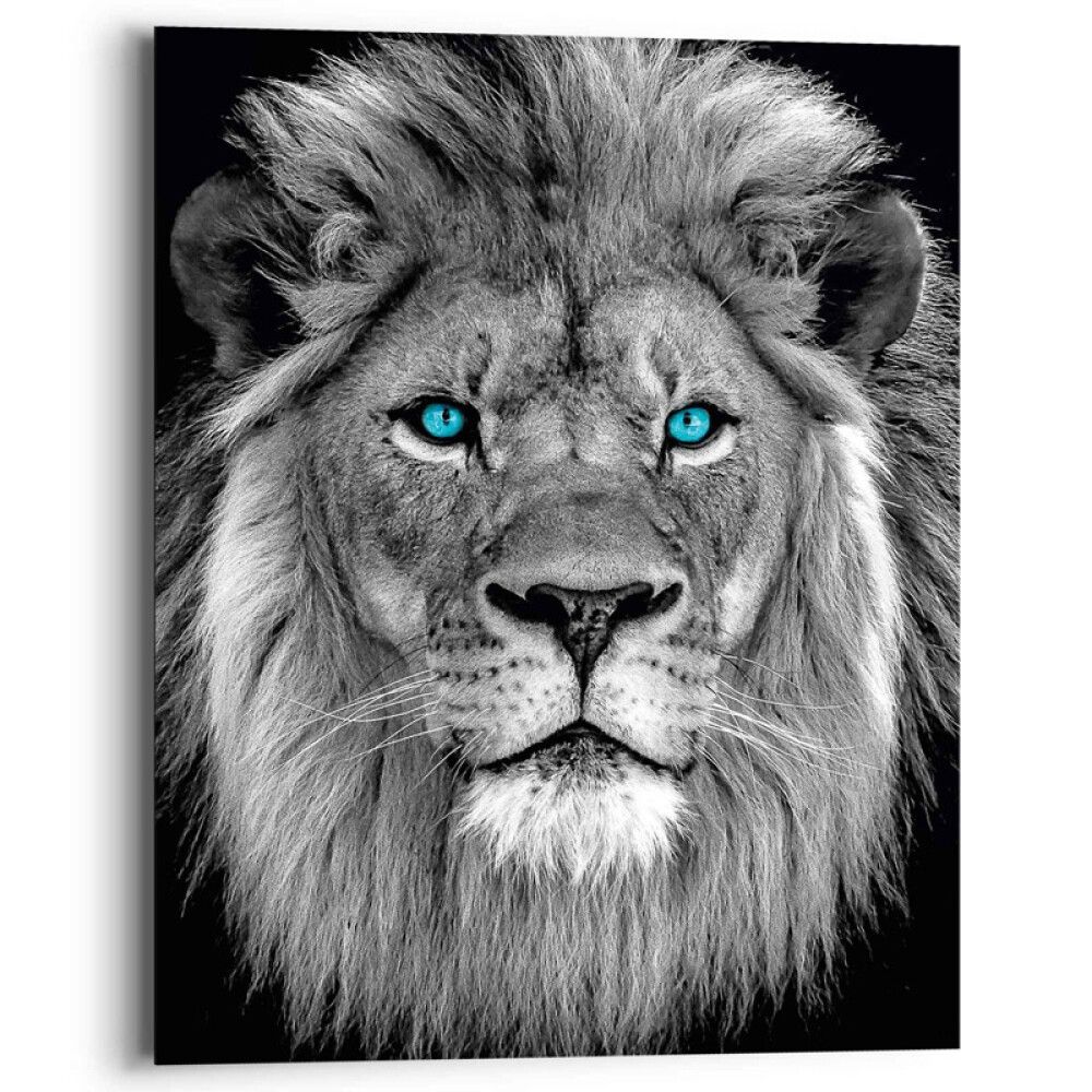 Sisustuspilt Reinders Blue Eyed Lion 40 x 50 cm