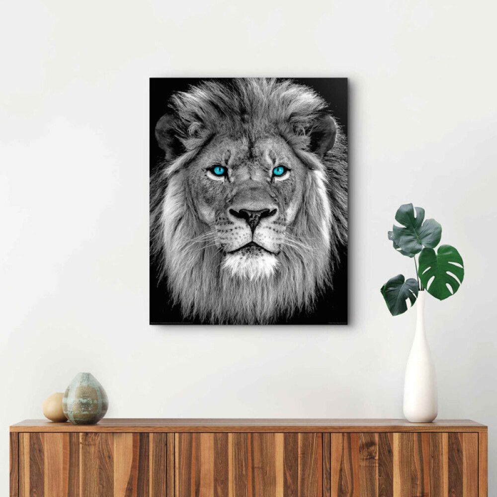 Sisustuspilt Reinders Blue Eyed Lion 40 x 50 cm