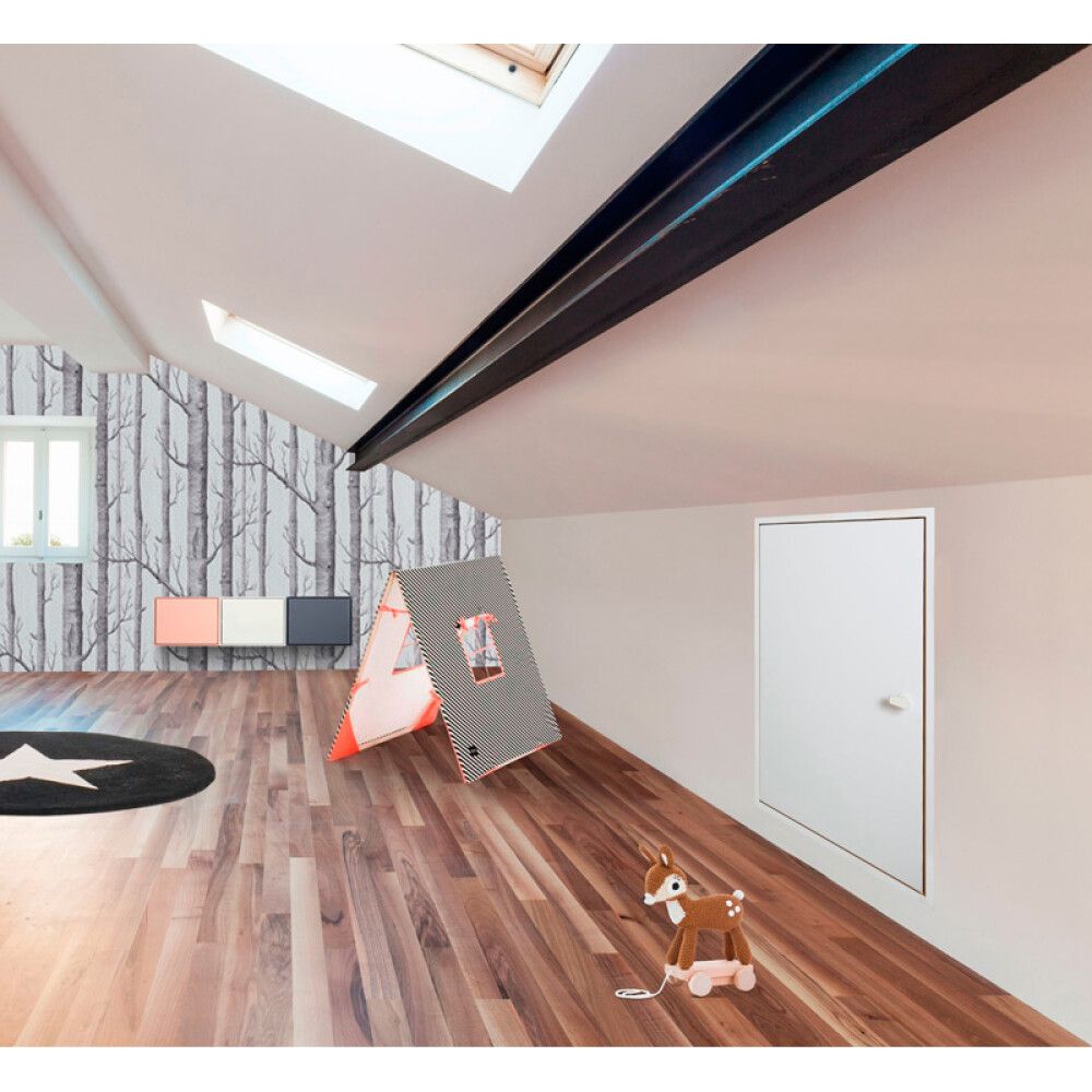 Seinaluuk Dolle clickFIX 56 Wall Hatch 565 x 1122 mm