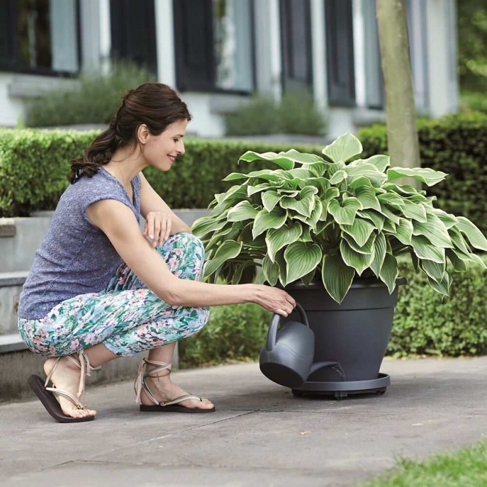 Lillealus ratastel Elho Universal