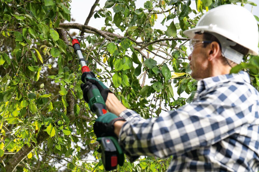 Akuoksasaag Bosch AdvancedPruner 18V-45 Solo