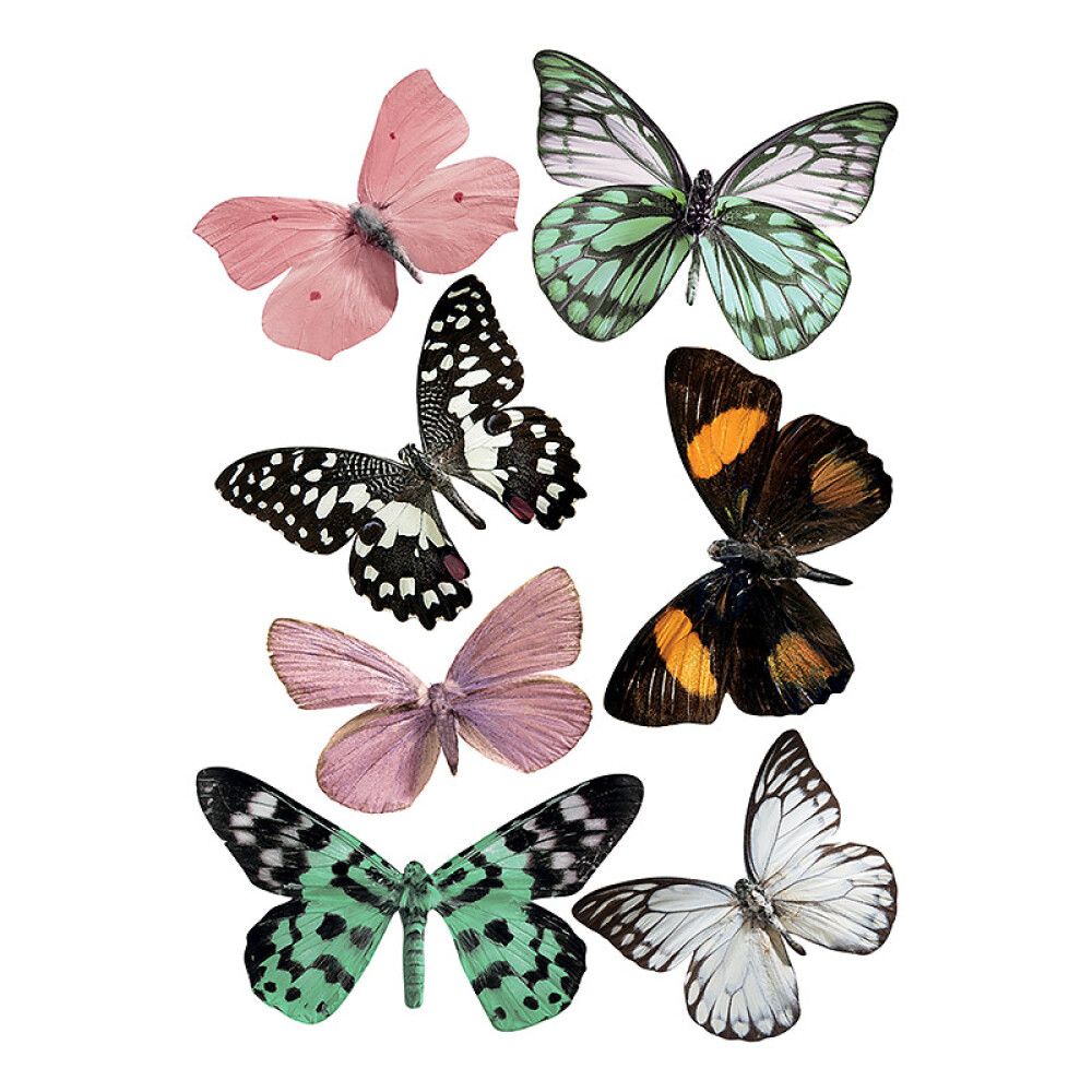 Seinakleebis Plage 3D Läbipaistvad Liblikad