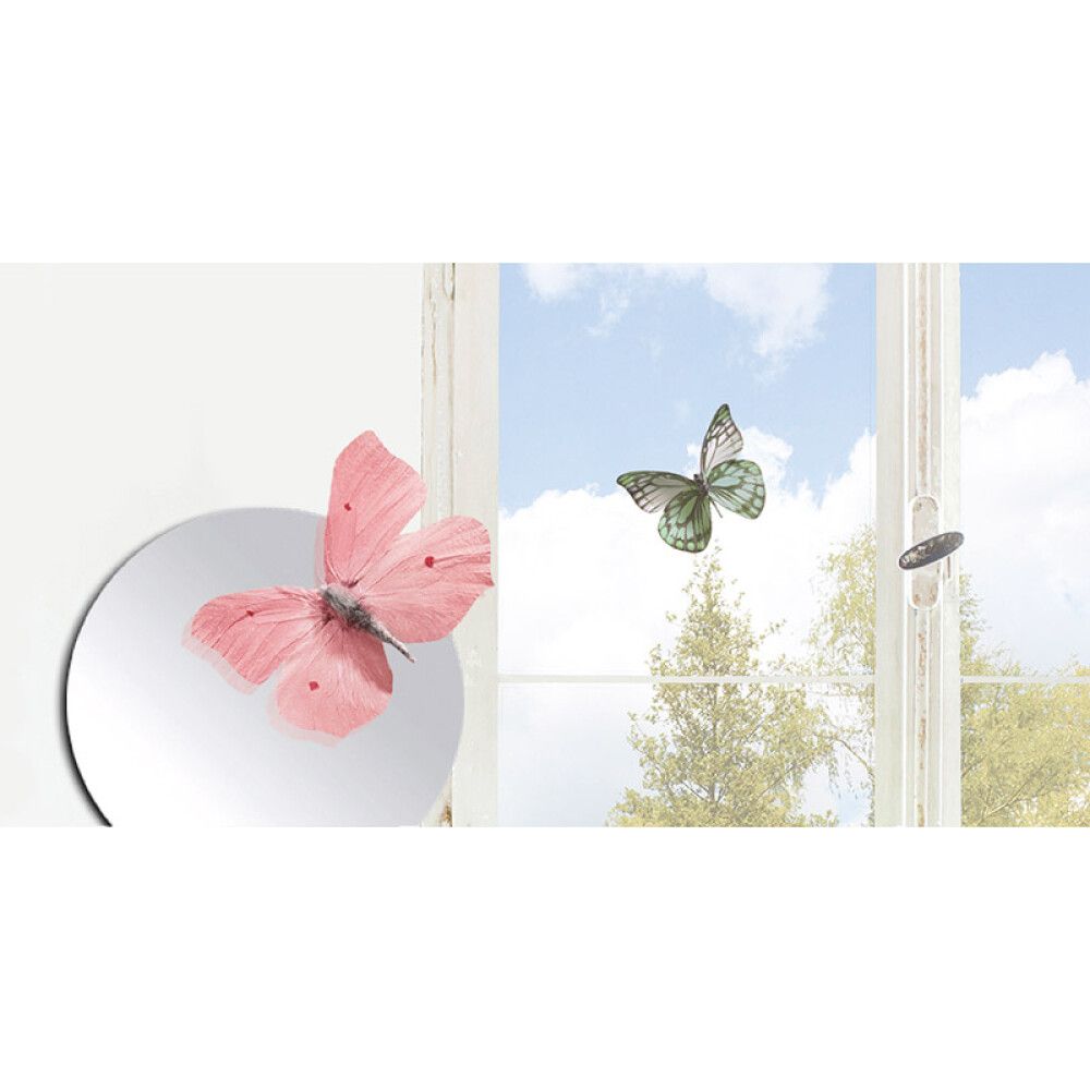 Seinakleebis Plage 3D Läbipaistvad Liblikad