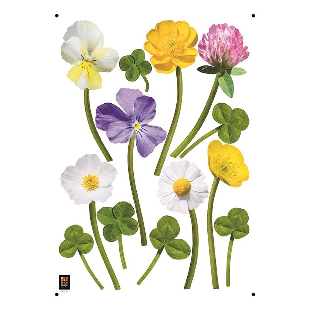 Posterkleebis Plage Lilled