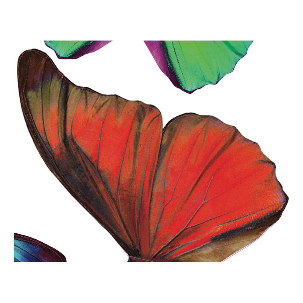 Seinakleebis Plage 3D Värvilised liblikad