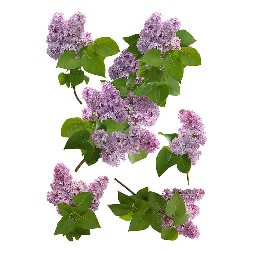 Posterkleebis Plage Sirel