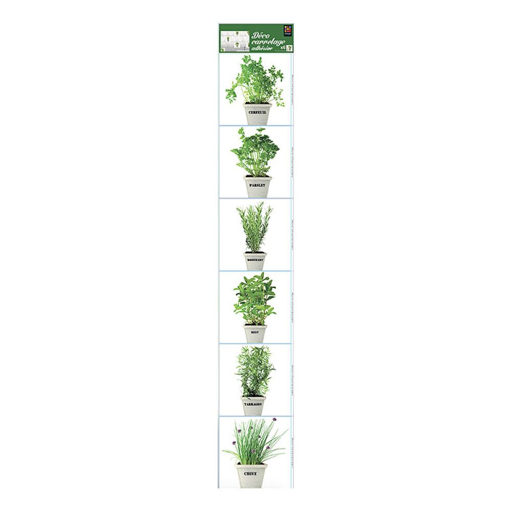 Sisustuskleebis Plage Ürdid