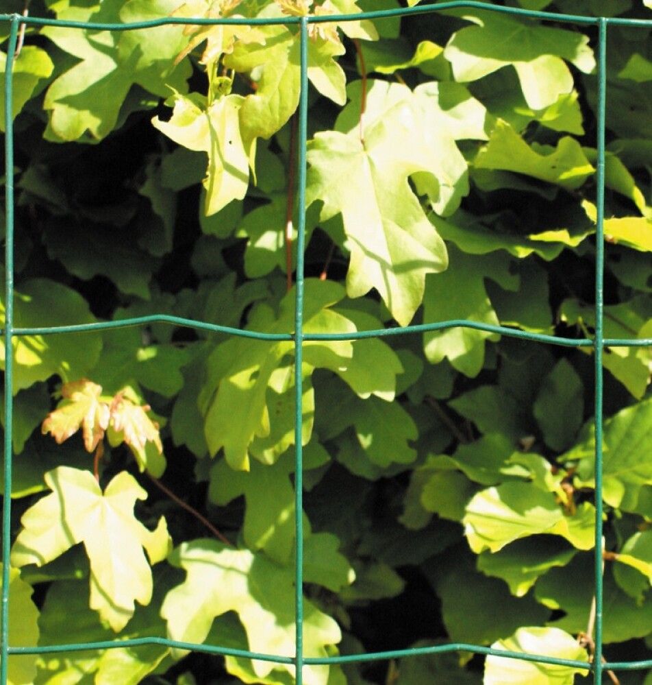 Aiavõrk Hortus roheline 90 cm x 25 m