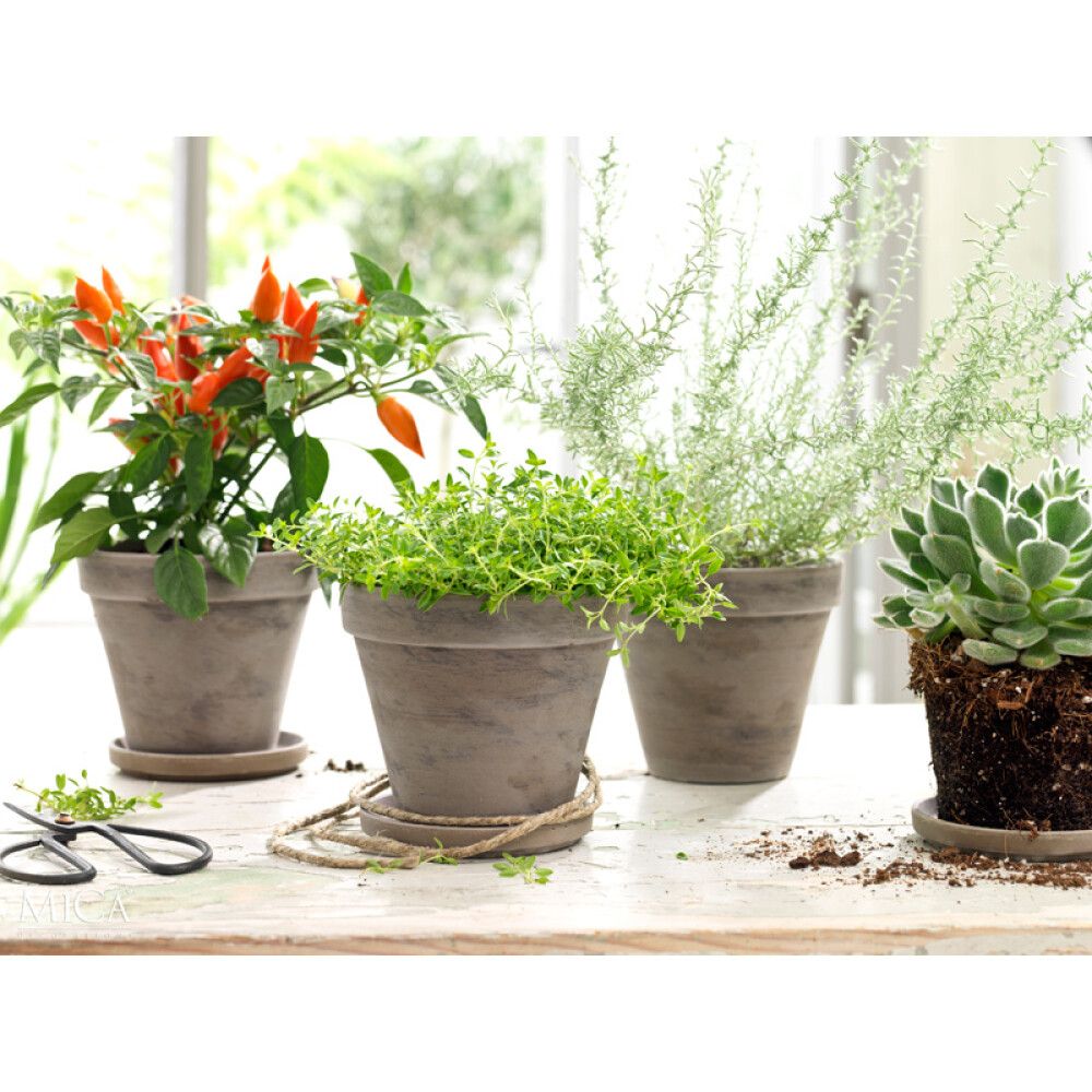 Savipott Stan 11,5 cm