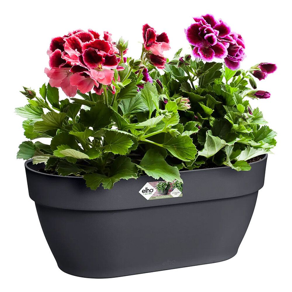 Seinaampel Elho Vibia Campana 35 cm, antratsiit