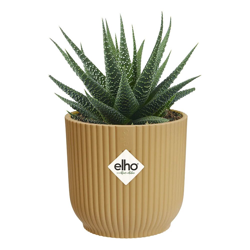 Ümbrispott Elho Vibes Ø 7 cm, kollane