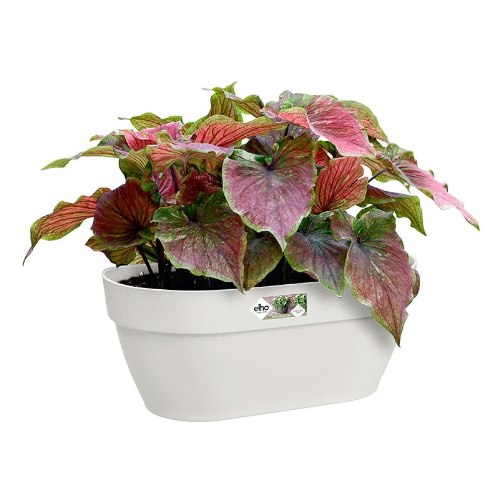 Seinaampel Elho Vibia Campana 35 cm, looduslik valge