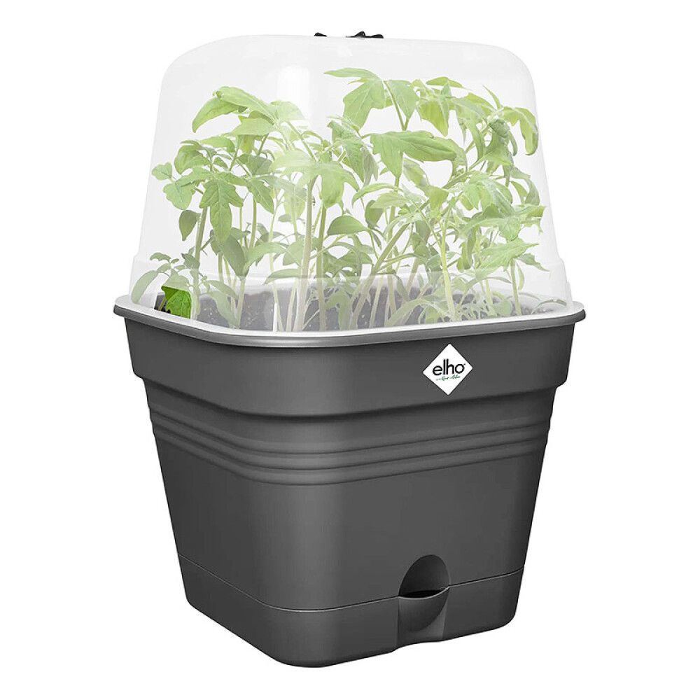 Istutuspott Elho Green Basics Allin1 Ø 20 cm