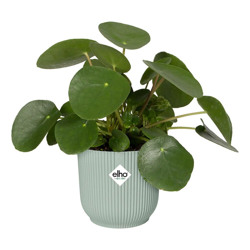 Ümbrispott Vibes Fold Ø 14 cm, roheline