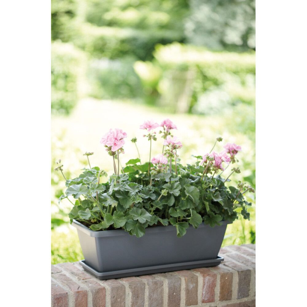 Rõdukast Barcelona 50 cm