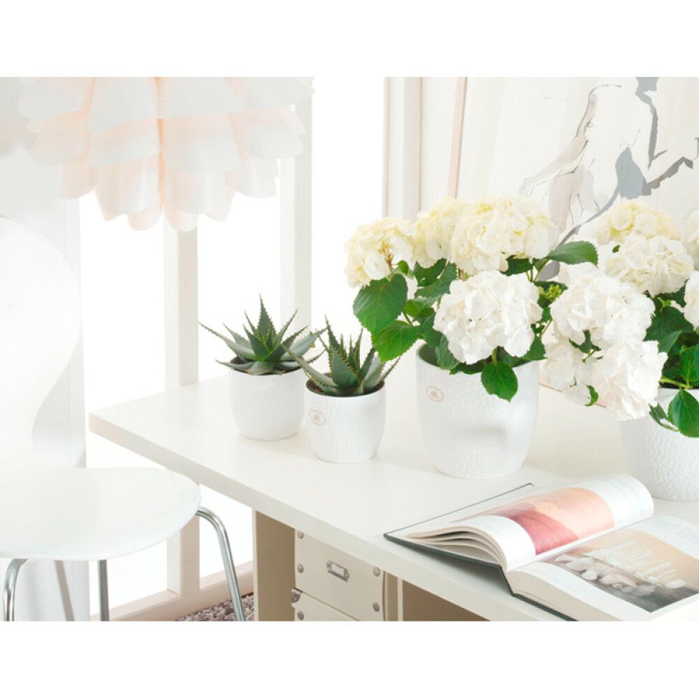 Ümbrispott Boston matt valge 14 cm