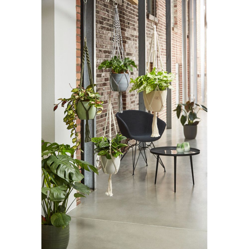 Nöörampel 90 cm, hall