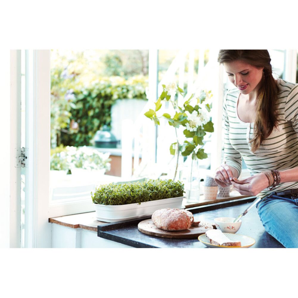 Alustaldrik Elho Green Basics 51 cm, must