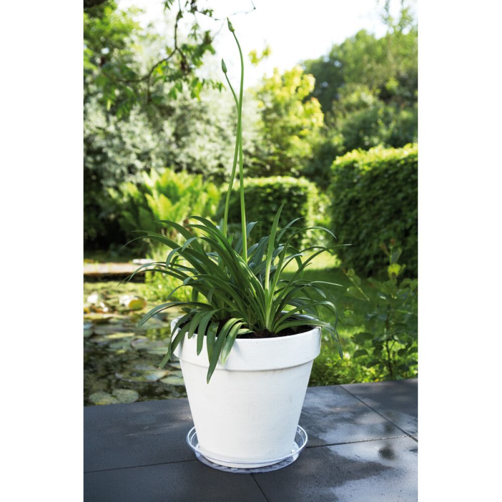 Alustaldrik  Elho Ø 28 cm