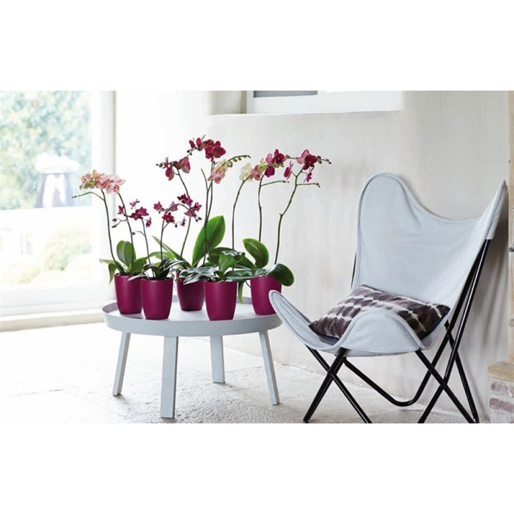 Orhidee ümbrispott Brussels High Ø 12,5 cm