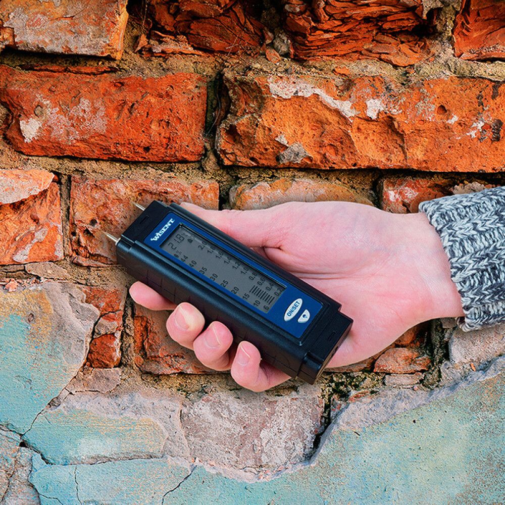 Niiskusemõõtja Wisent