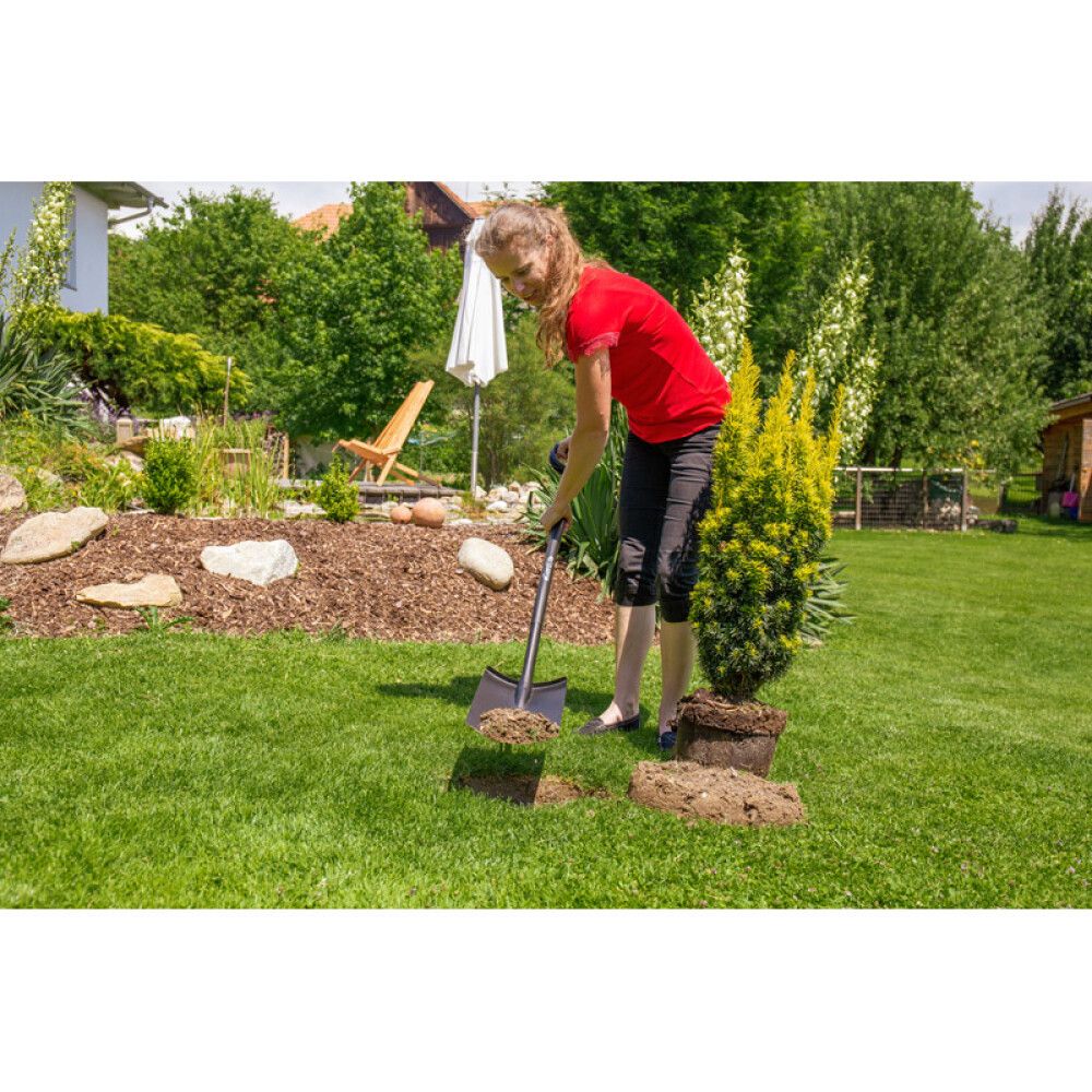 Aialabidas Gardol 99480