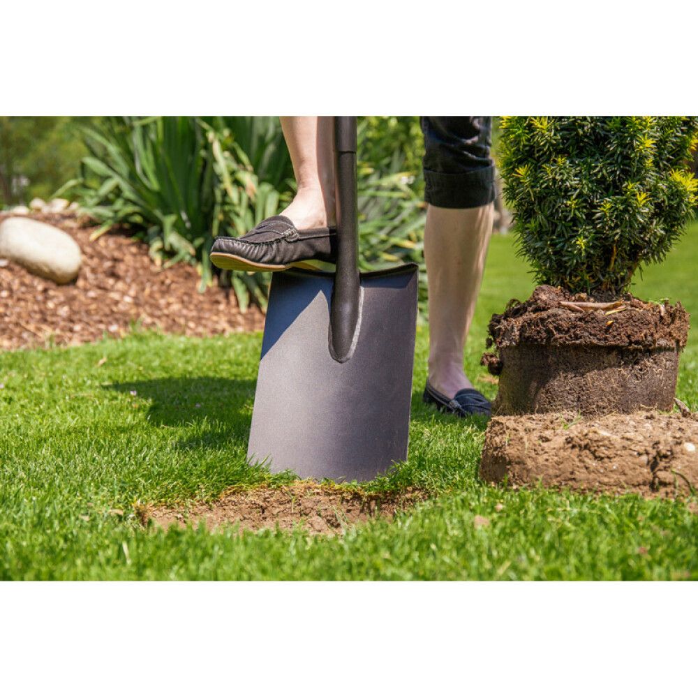 Aialabidas Gardol 99480