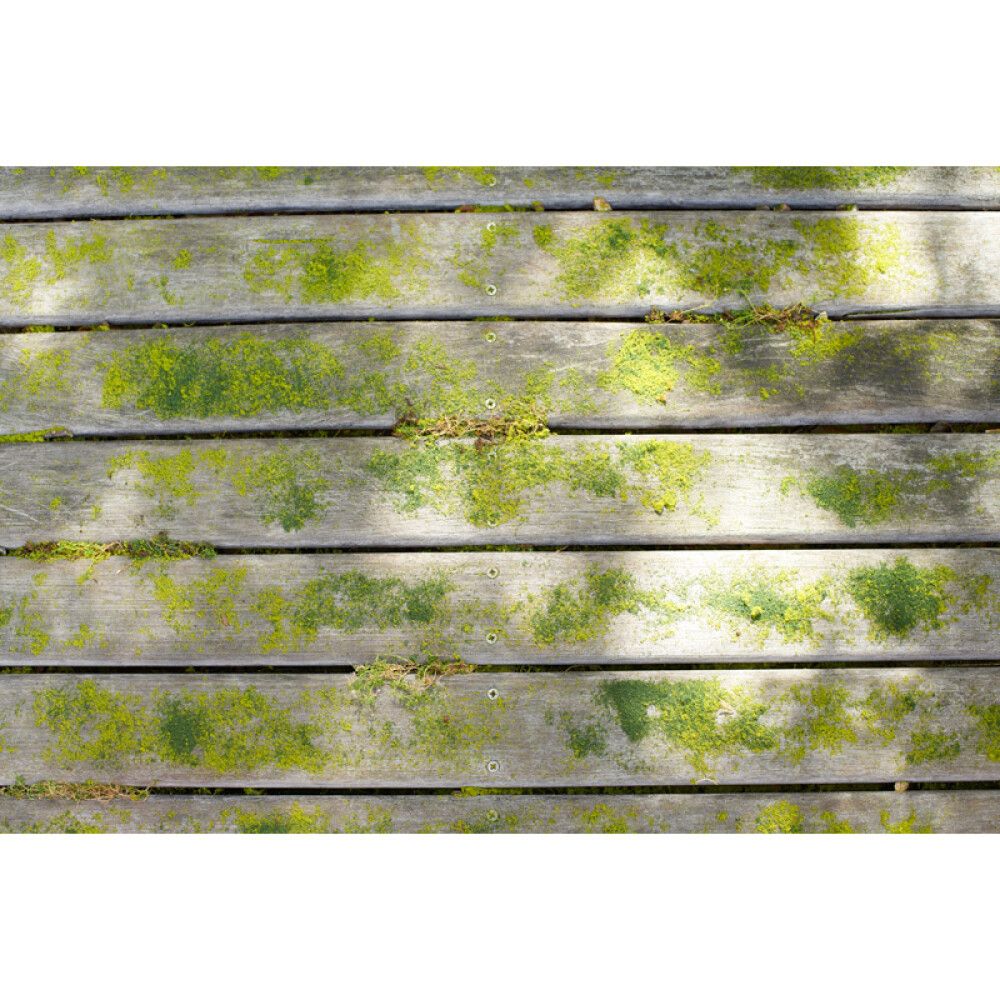 PuhastushariI Ryobi RY18PCB-0