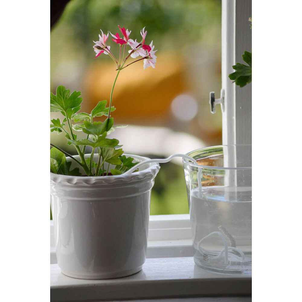 Toataimede kastmissüsteem