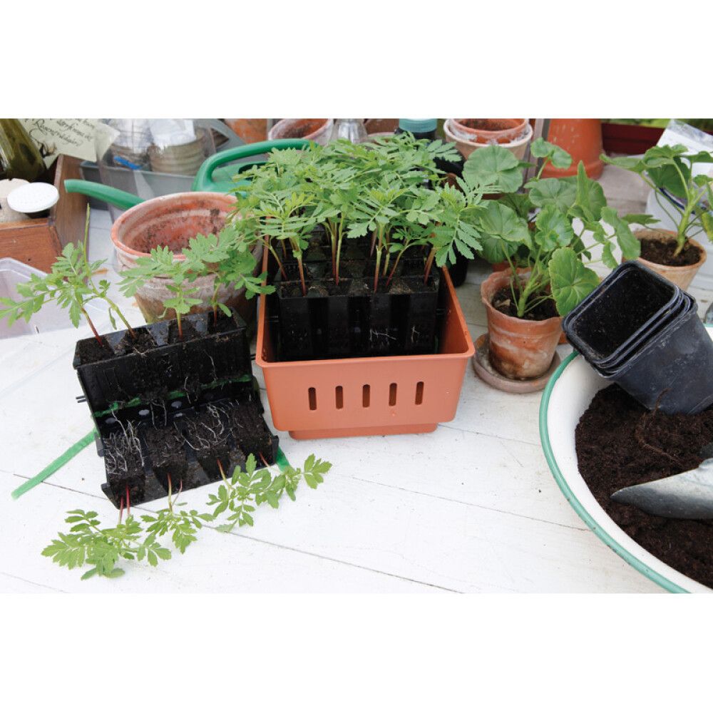 Minikasvuhoone Rootmaster