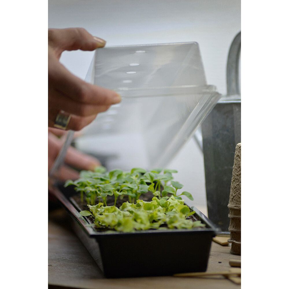 Minikasvuhoone Solid 14 x 86 cm