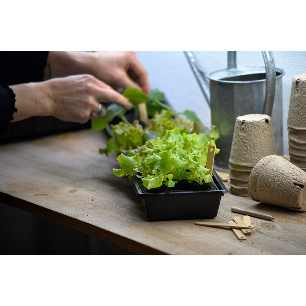 Istutuskast Solid 14 x 68 cm