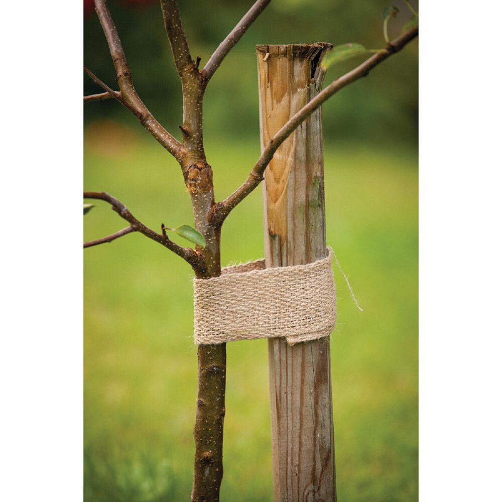 Džuutnöör 6 cm x 5 m