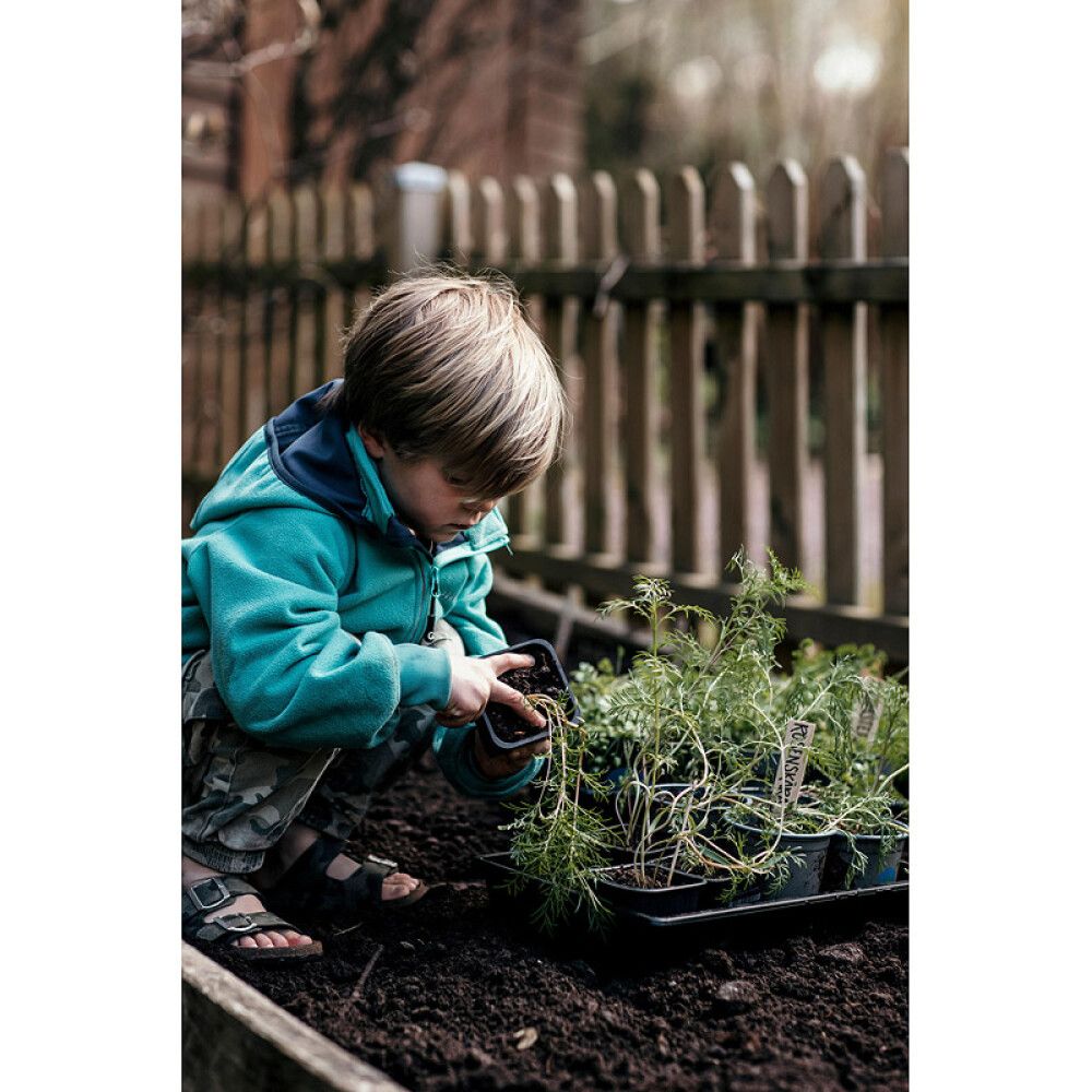 Taimekasvatuskast  37 x 23 cm