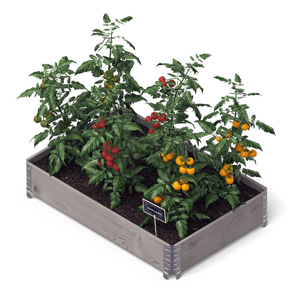 Istutuskast 120 x 80 x 20 cm, hall