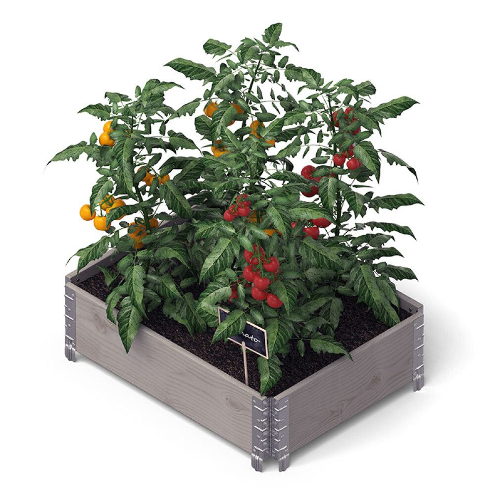 Istutuskast 80 x 60 x 20 cm, hall