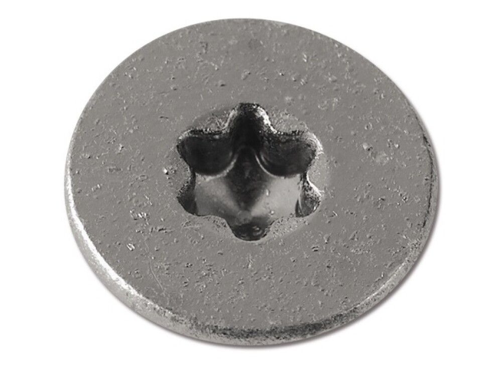 Puitlaastplaadi kruvid TX A2, 4,5 x 50 mm 200 tk