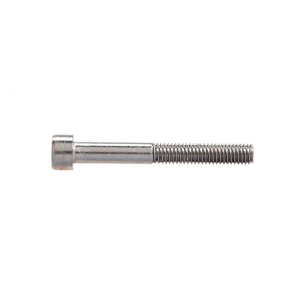 Sisekuuskantpoldid Profi Depot DIN912 A2, 5 x 30 mm, 100 tk