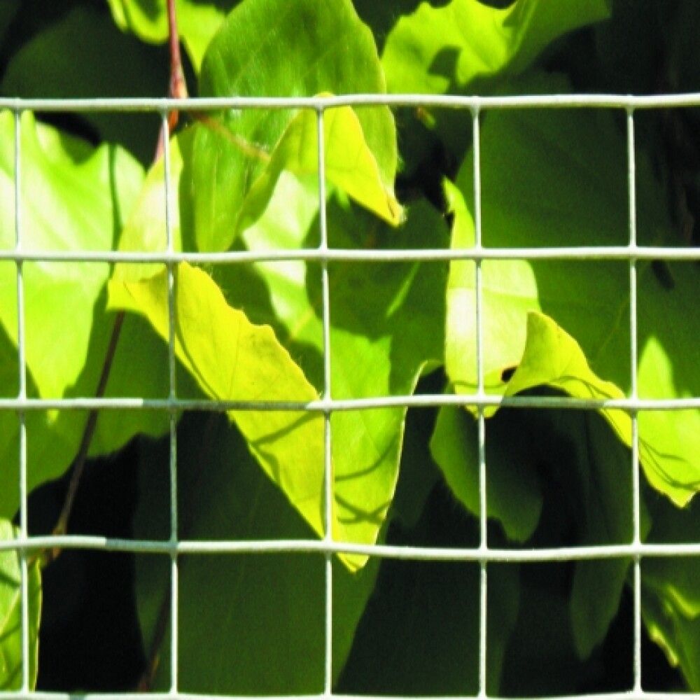 Loomavõrk 0,5 x 5 m