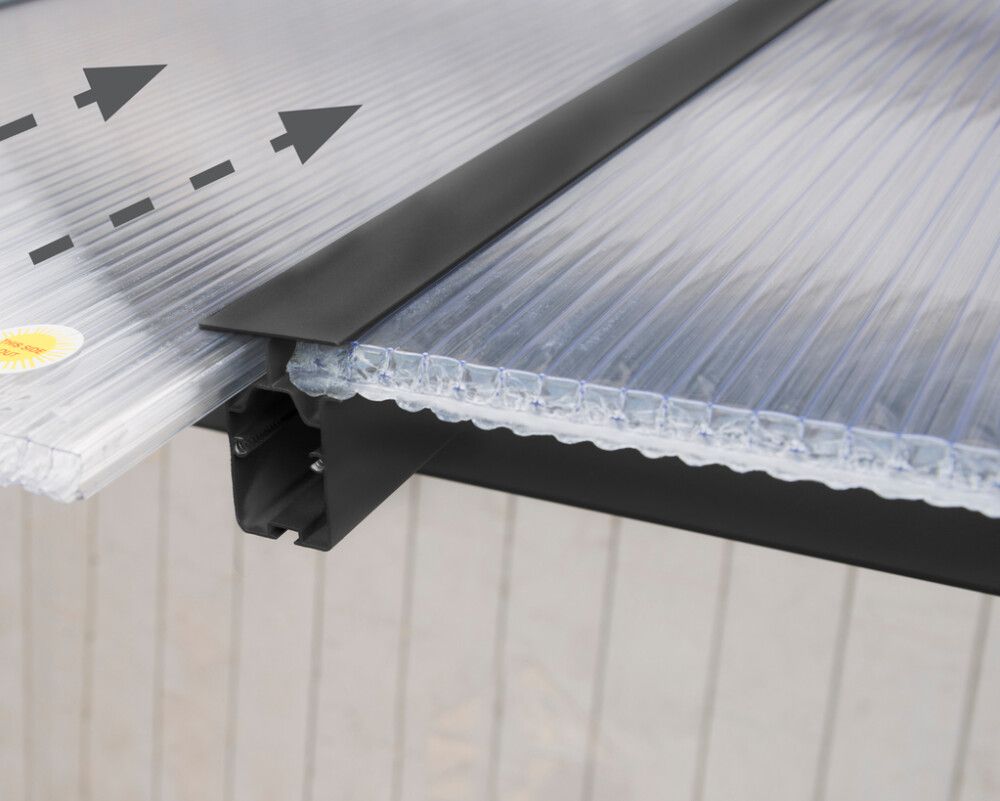 Terrassikatus Canopia Olympia hall/läbipaistev 307 cm