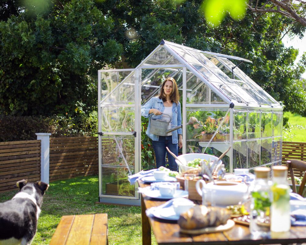 Kasvuhoone Palram-Canopia Harmony 4,6 m², hõbedane