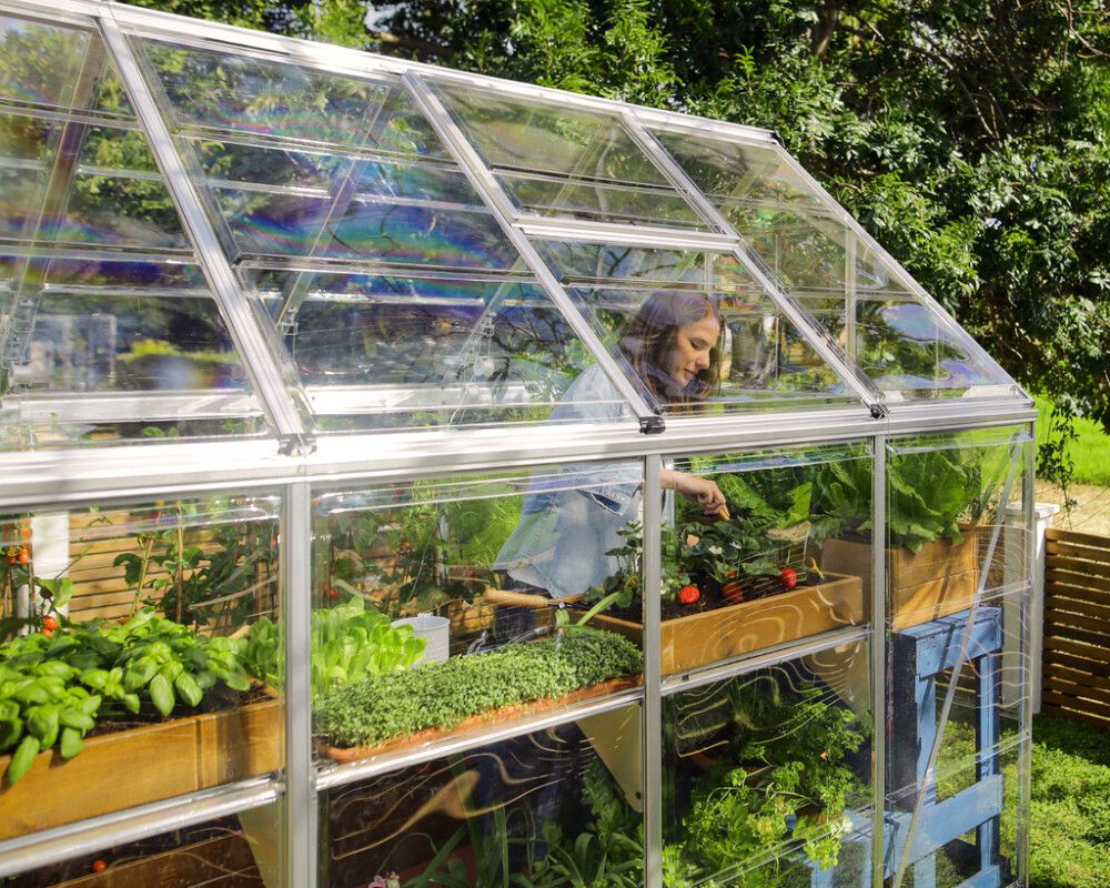 Kasvuhoone Palram-Canopia Harmony 4,6 m², hõbedane