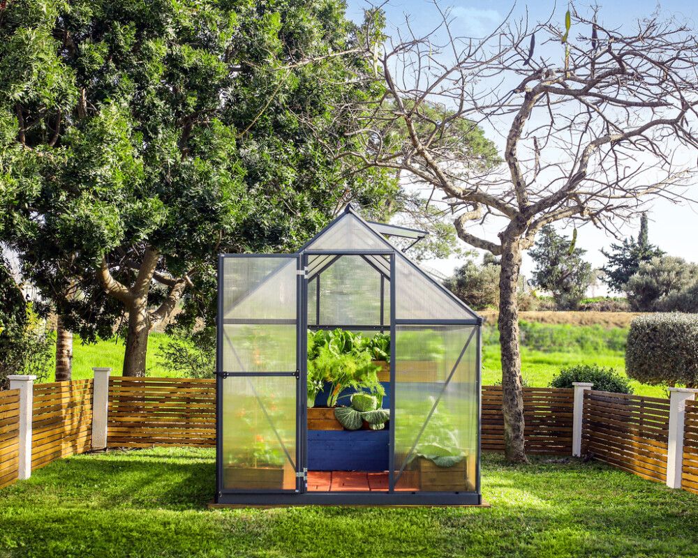 Kasvuhoone Palram-Canopia 4,6 m², hall