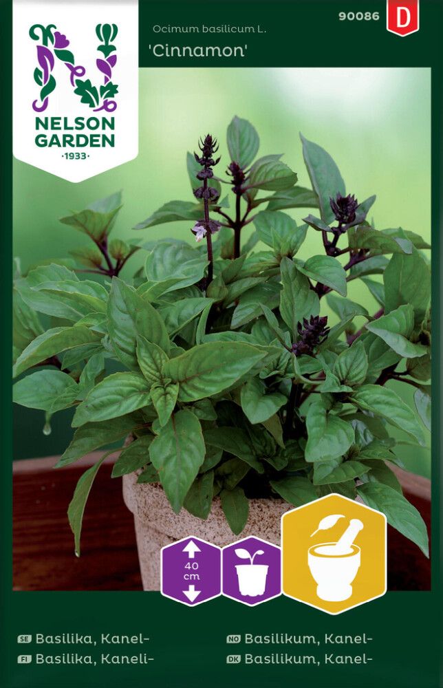 Kaneelbasiilik Cinnamon