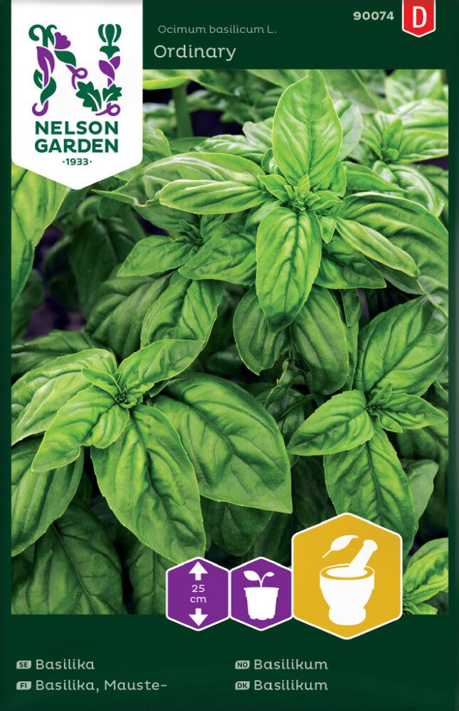 Basiilik Balkon Star